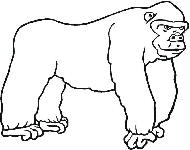 Gorillas Coloring Page | Clipart Panda - Free Clipart Images