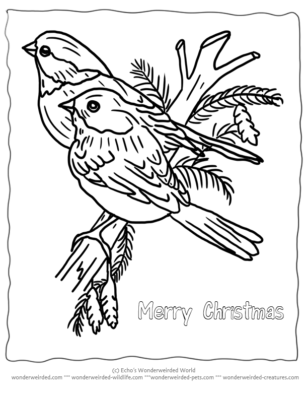 Printable Christmas Coloring Page Birds ...