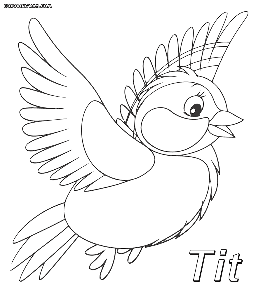 Tit bird coloring pages | Coloring pages to download and print