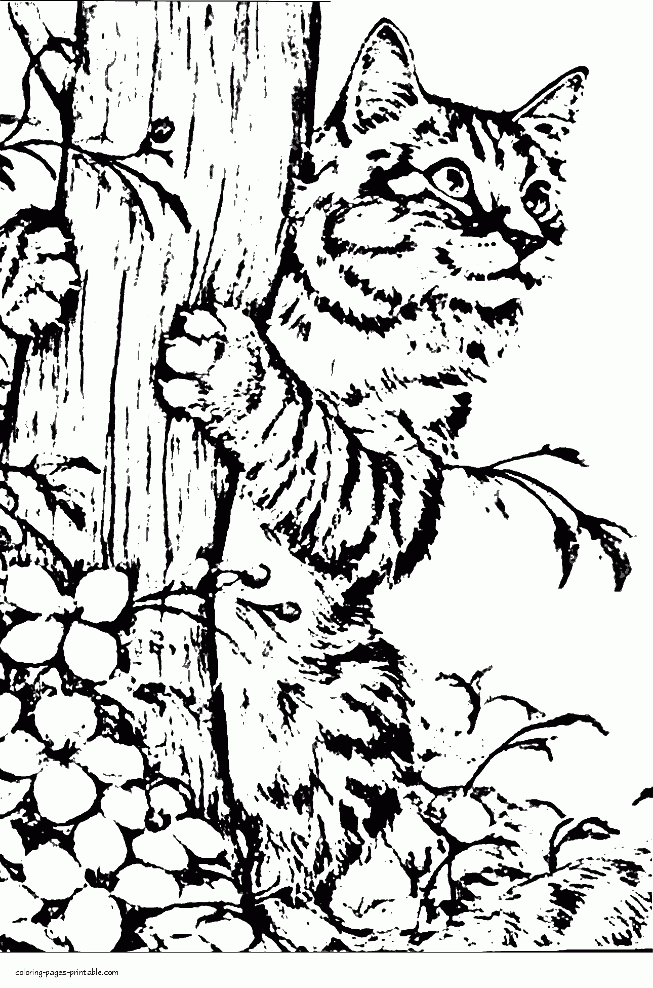 Realistic Cat Coloring Page | Cat coloring page, Dog coloring page, Kittens  coloring