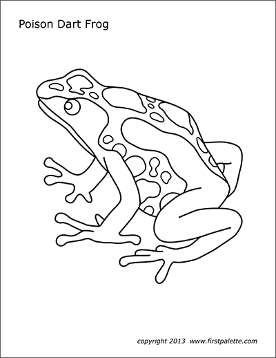 Posion Dart Frog | Free Printable Templates & Coloring Pages |  FirstPalette.com