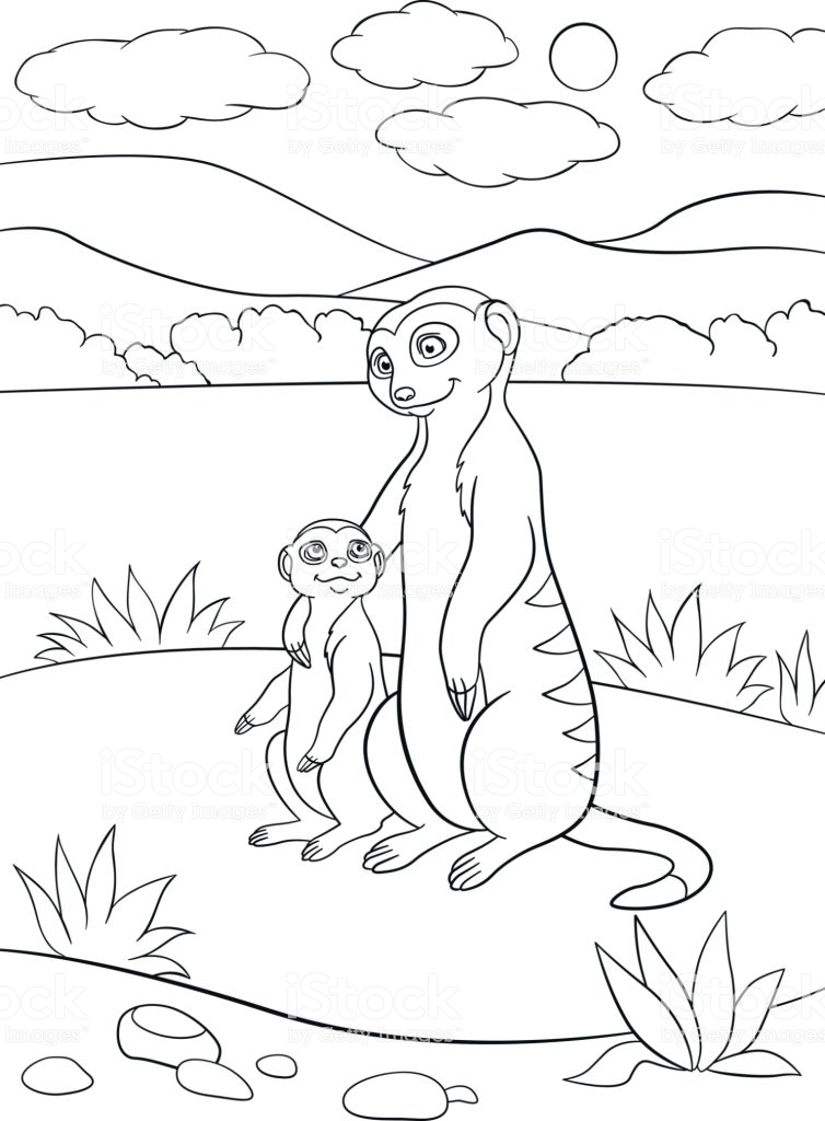 Coloring Pages Mother Meerkat With Her Cute Baby Stock ...