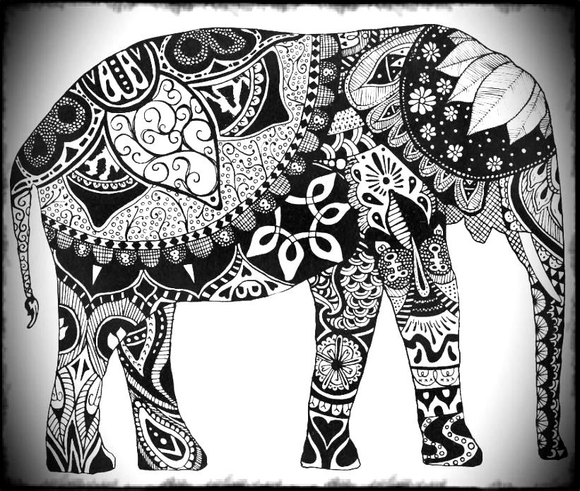 Drawing Elephant And Page Coloring Tumblr White Aabfceb Black L ...