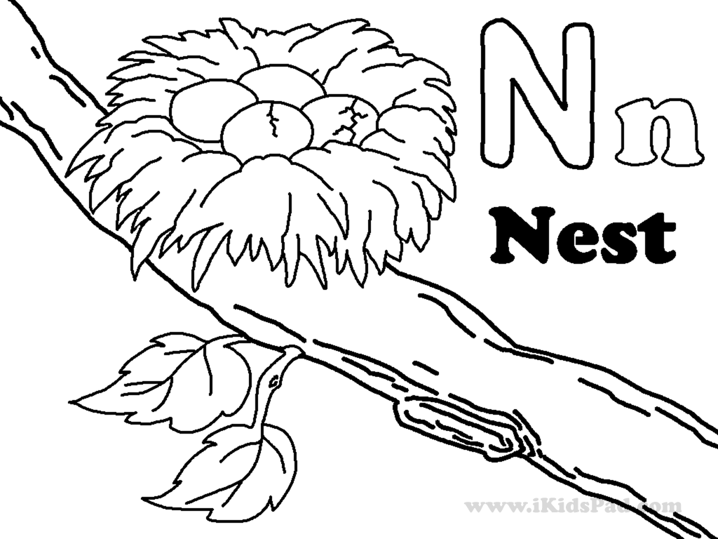 Pics Of Coloring Page Letter N Nest N Nest Coloring - Coloring Nation