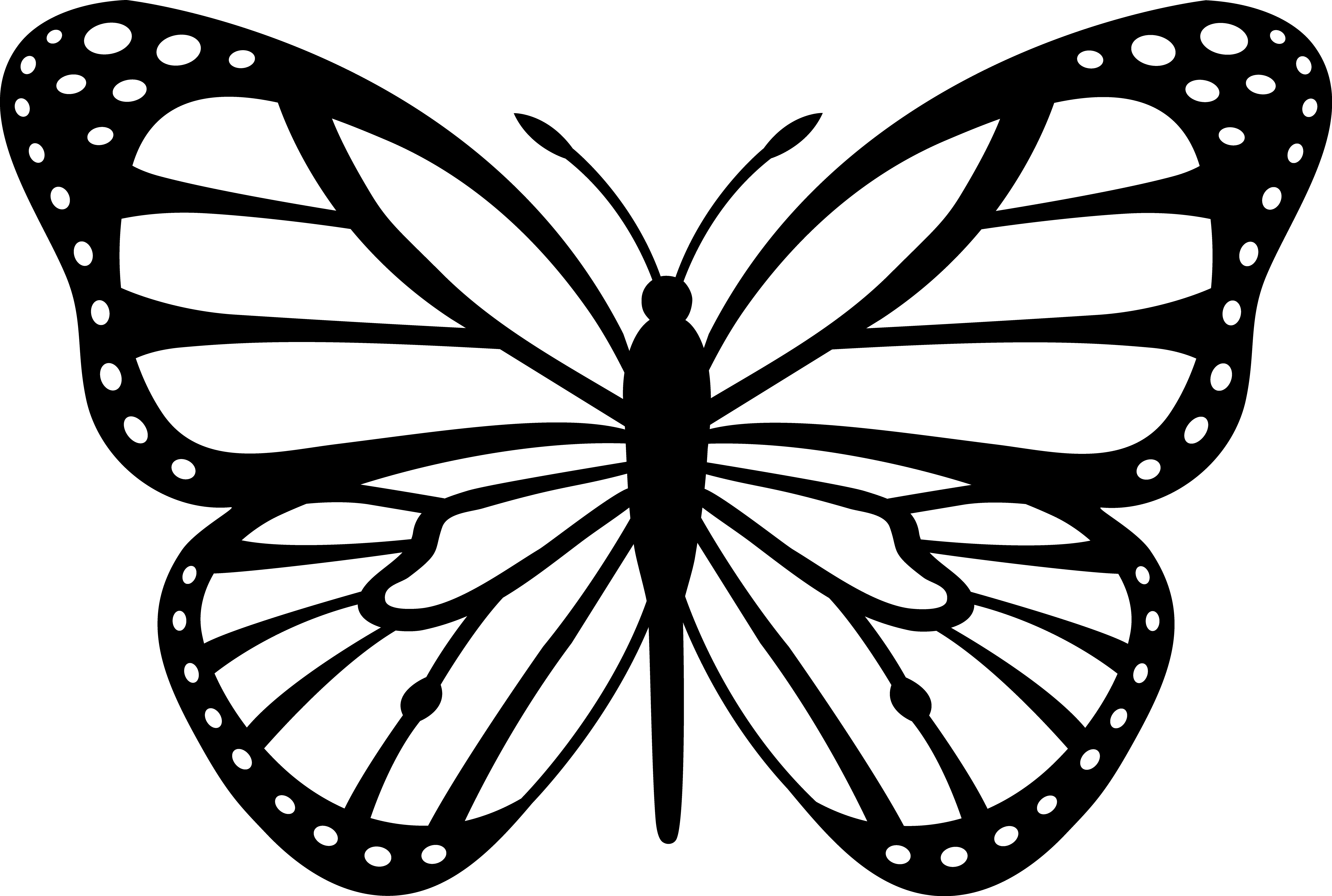 monarch butterfly coloring page - High Quality Coloring Pages