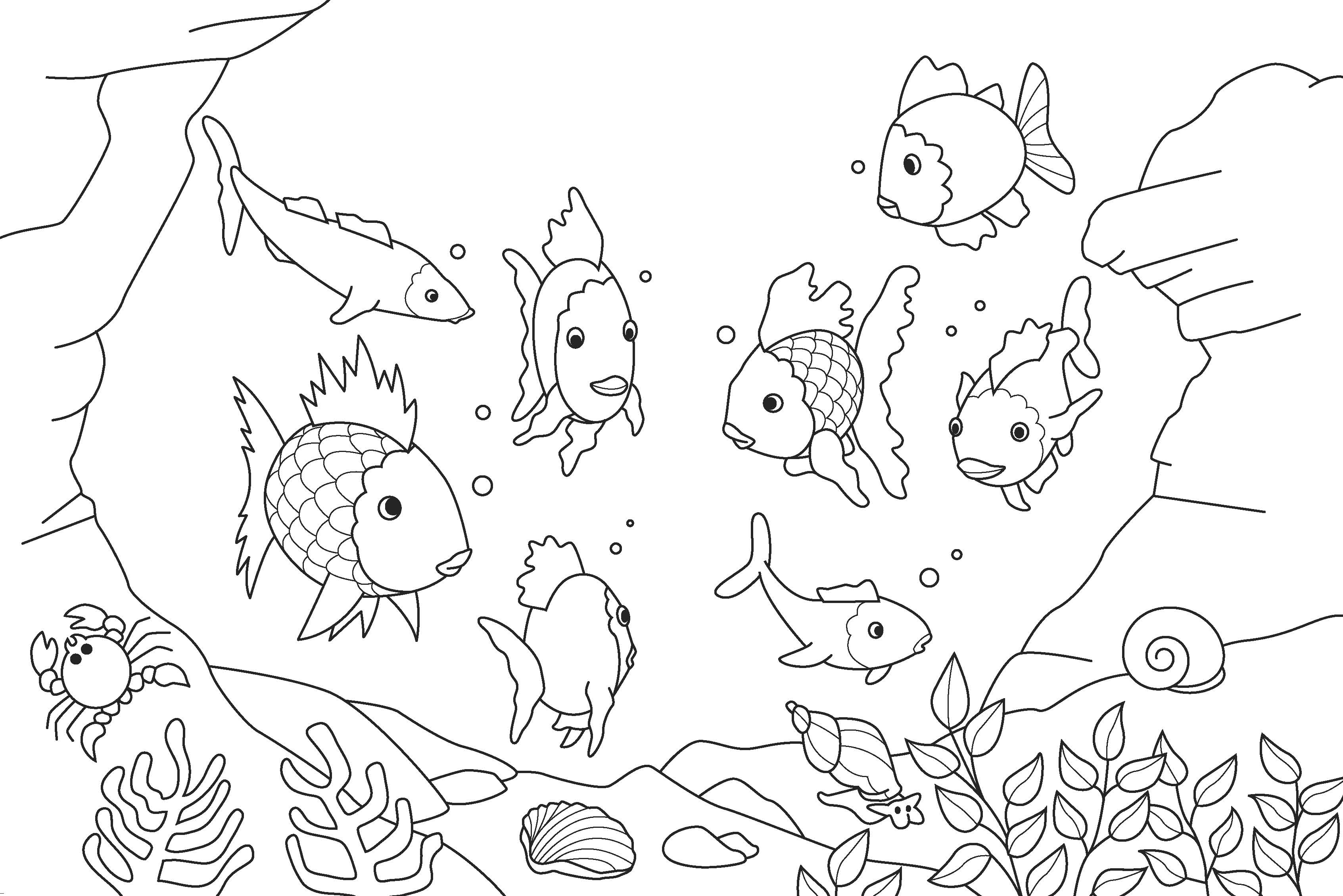 Rainbow Fish Coloring Page
