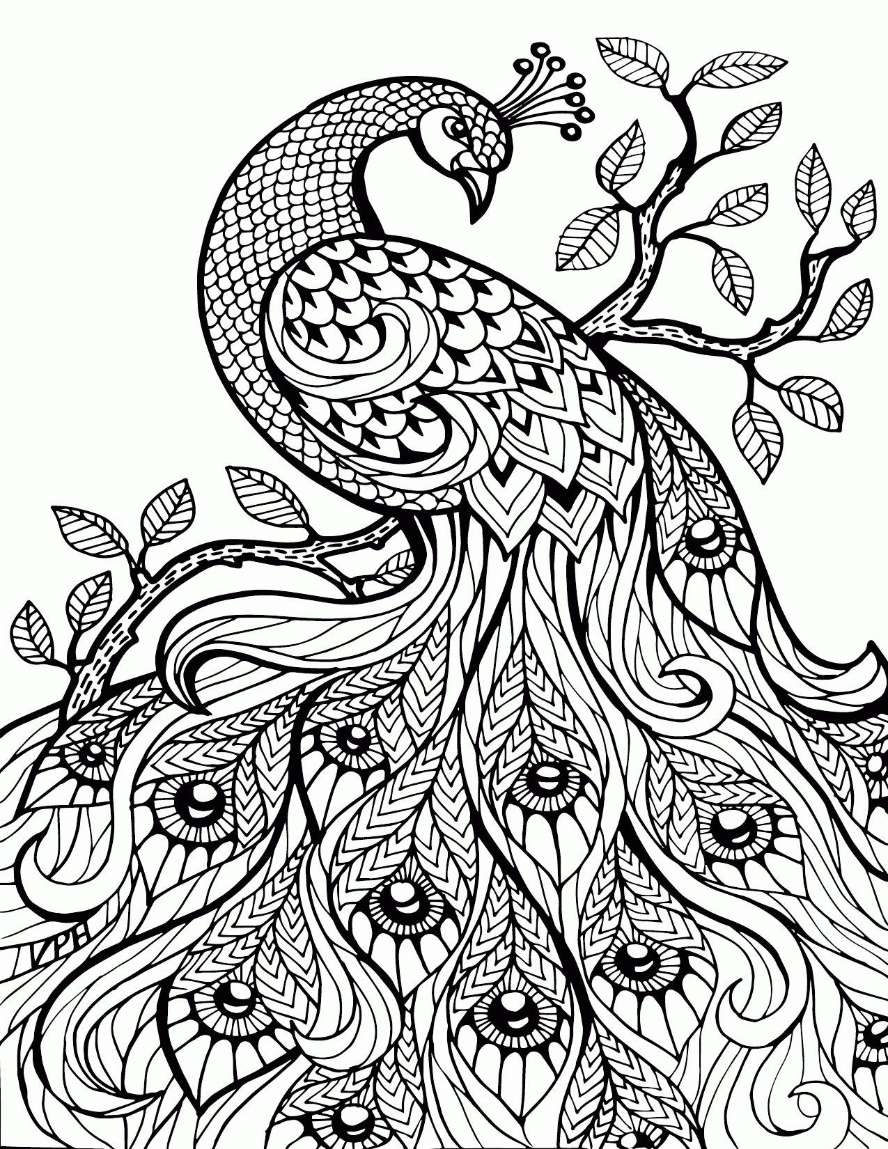 Feathers Coloring Page