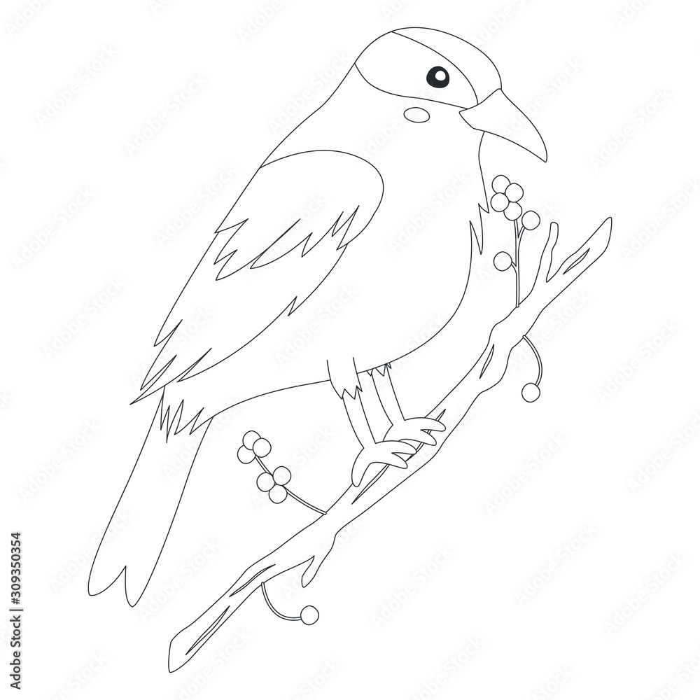 Bird of Indonesia coloring page, Kepodang Emas bird (Black-naped oriole)  perching on a tree branch. Exotic Indonesian bird cartoon vector. Coloring  page for kids template. Stock Vector | Adobe Stock