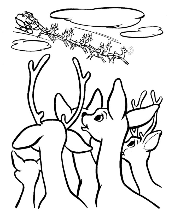 Free Printable Reindeer Coloring Pages For Kids