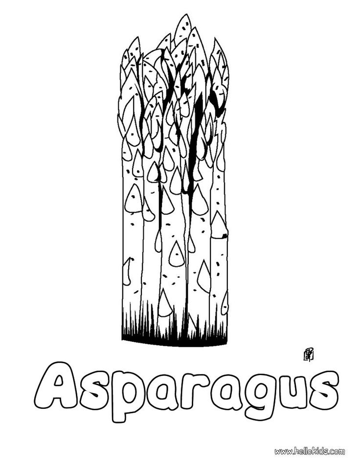 This lovely Asparagus coloring page is one of my favorite. Check out the  Vegetable coloring pages… | Coloring pages, Vegetable coloring pages,  Unique coloring pages