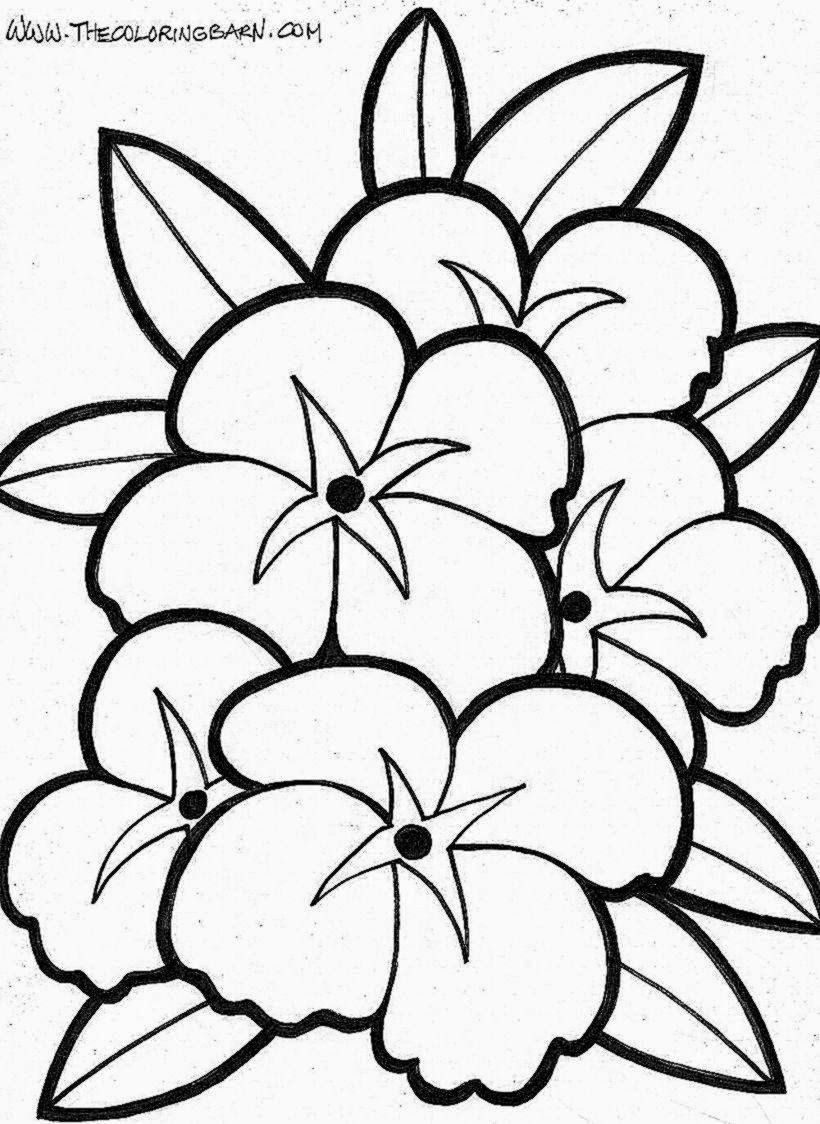 Flowers Coloring Sheets | Free Coloring Sheet