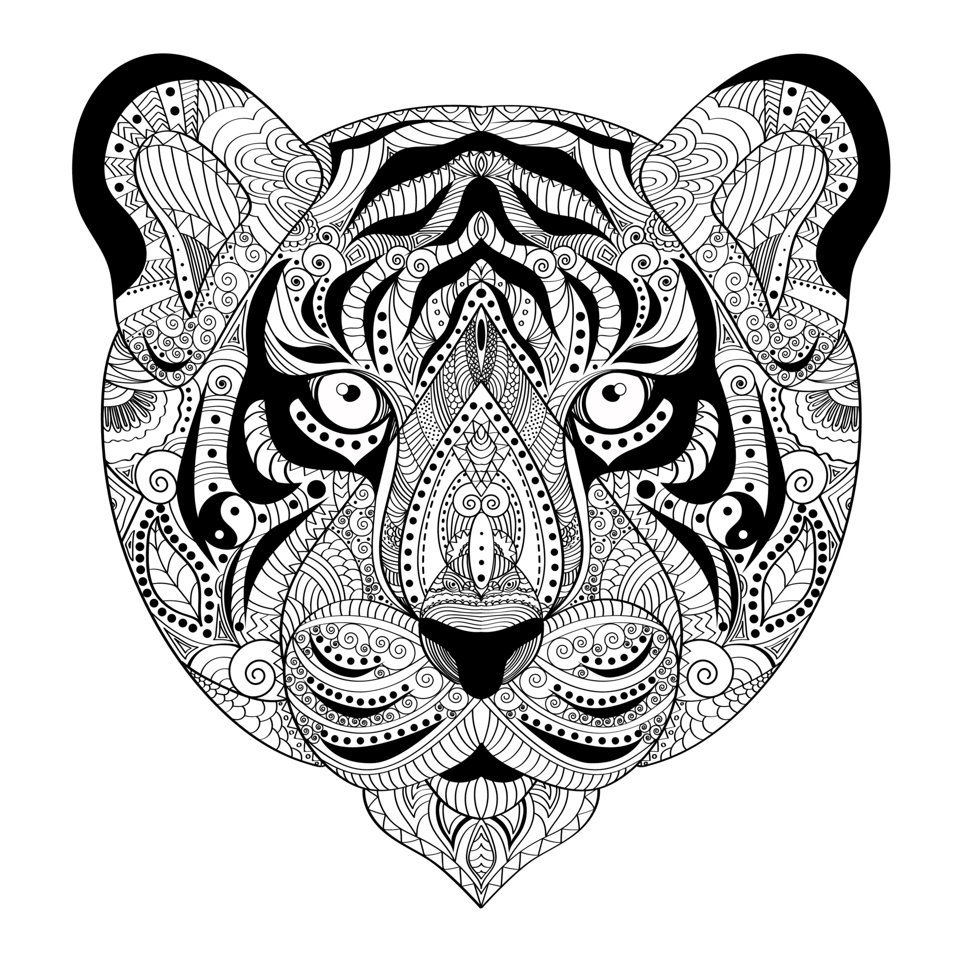 Hand drawn tiger for adult antistress coloring page 3123730 Vector Art at  Vecteezy