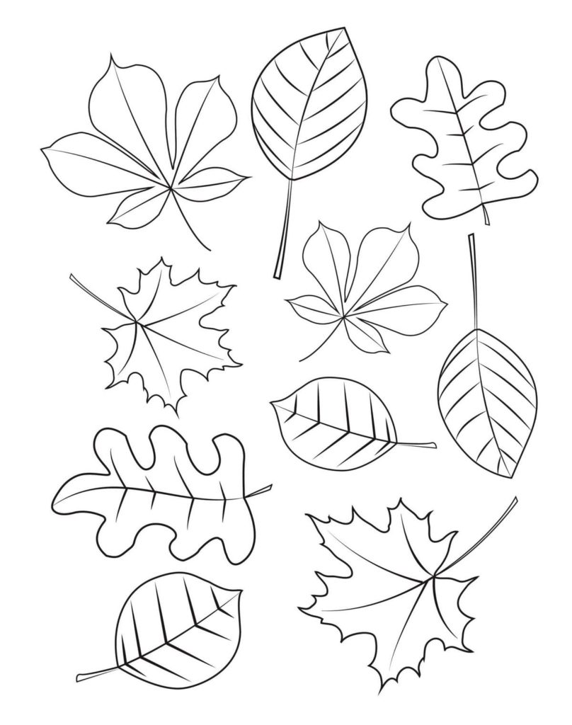 Leaves coloring pages | 90 Free coloring pages for Kids