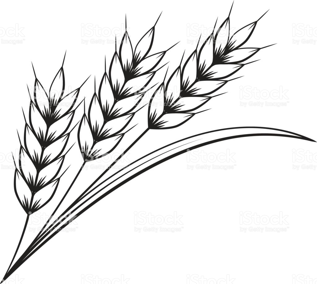 Black And White Wheat Clipart