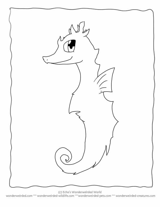 Cartoon Animals Coloring Pages Seahorse, Fantasy Coloring Pages of 