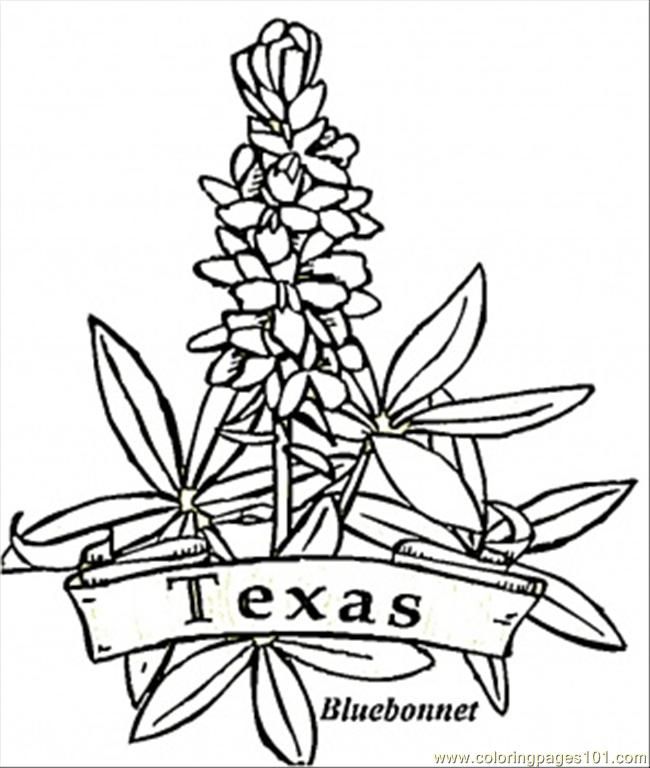 Search Results » Texas Map Coloring Page