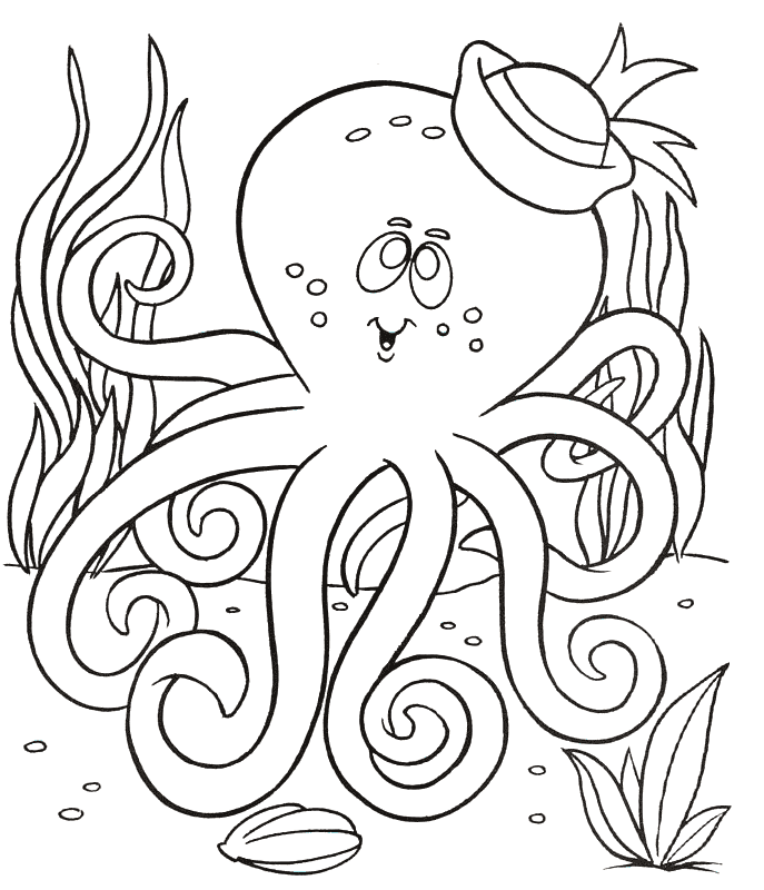 free Octopus coloring page | Letter O