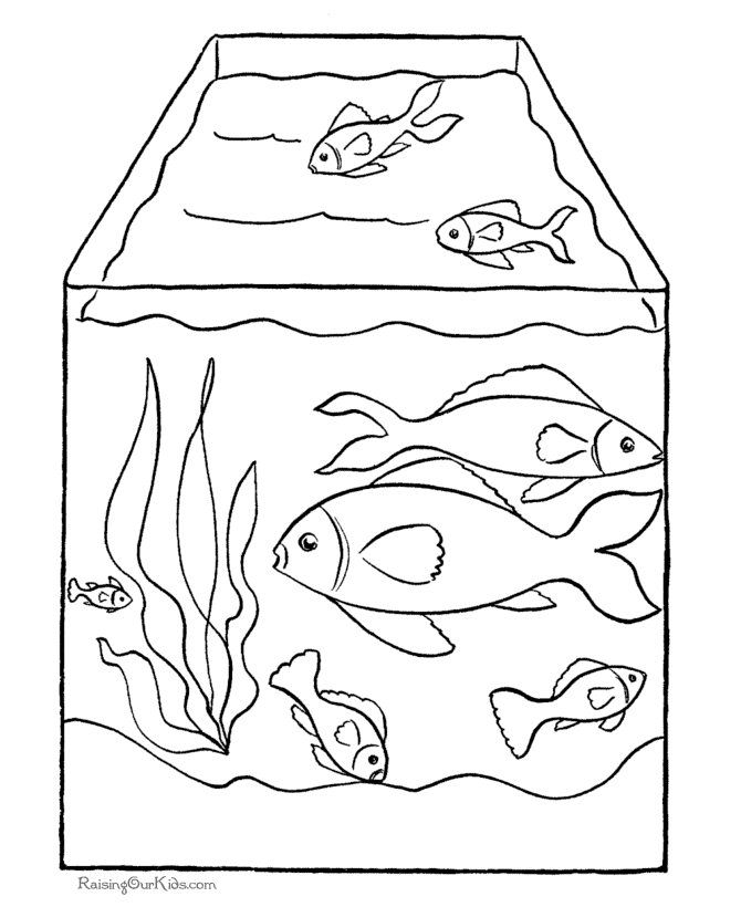 Printable fish coloring picture | Coloring Pages For Girl 