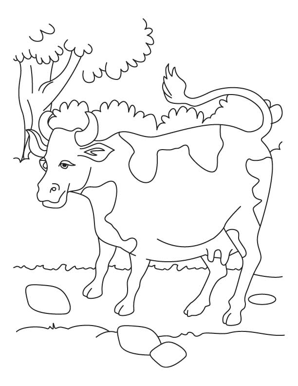 Cows cows cows coloring pages, Kids Coloring pages, Free Printable 