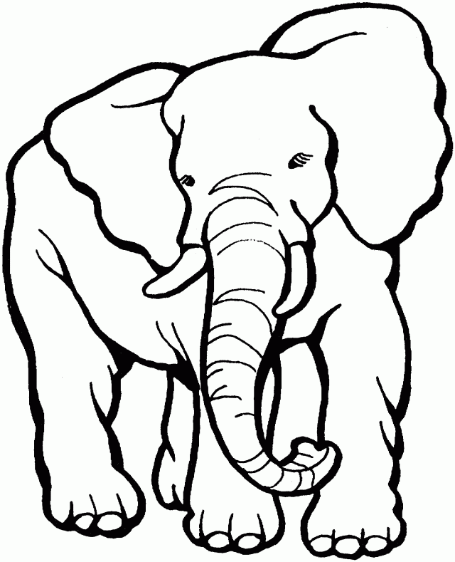 Elephant Coloring Elephant Coloring Book Kids Coloring Pages 
