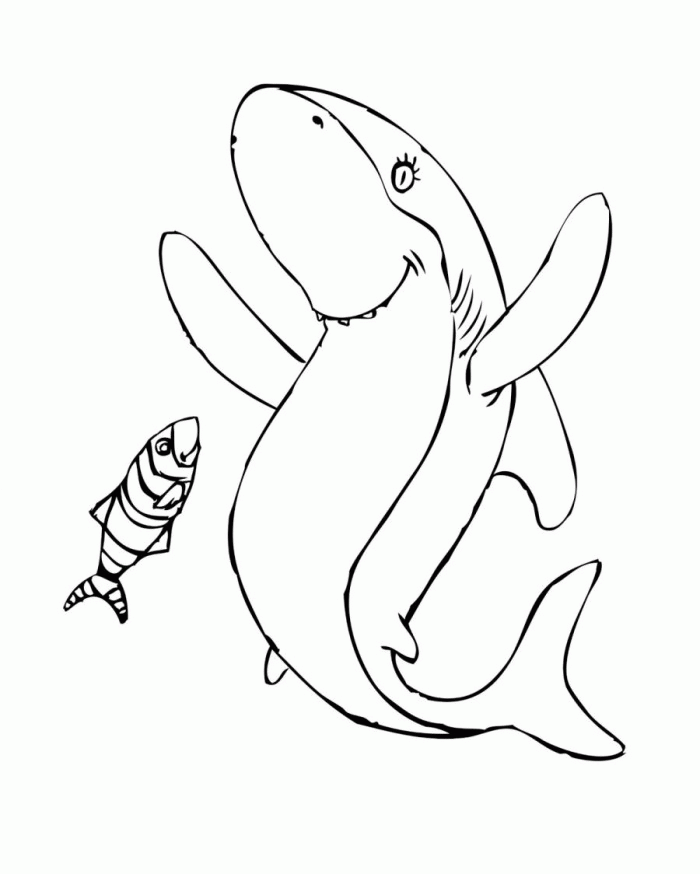 National Geographic Fish Coloring Pages