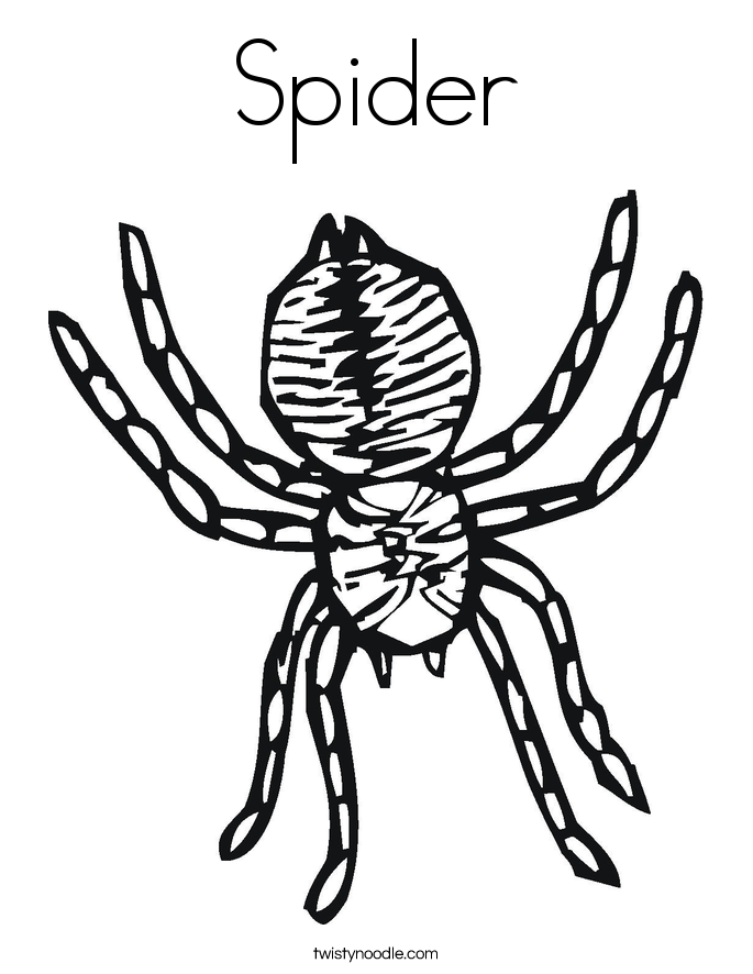 Spider Coloring Pages | Coloring Pages