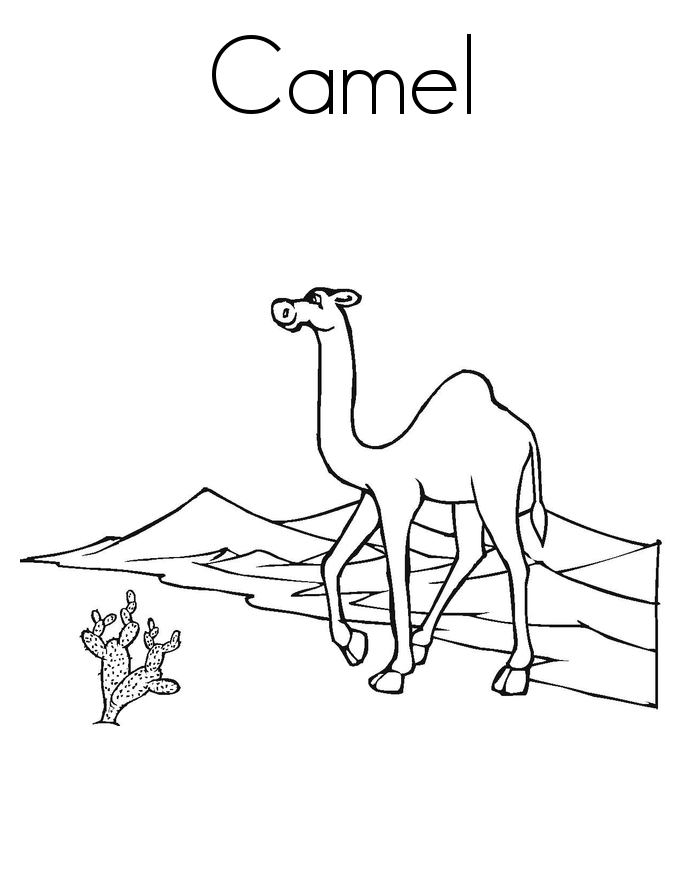 Free Printable Camel Coloring Pages For Kids