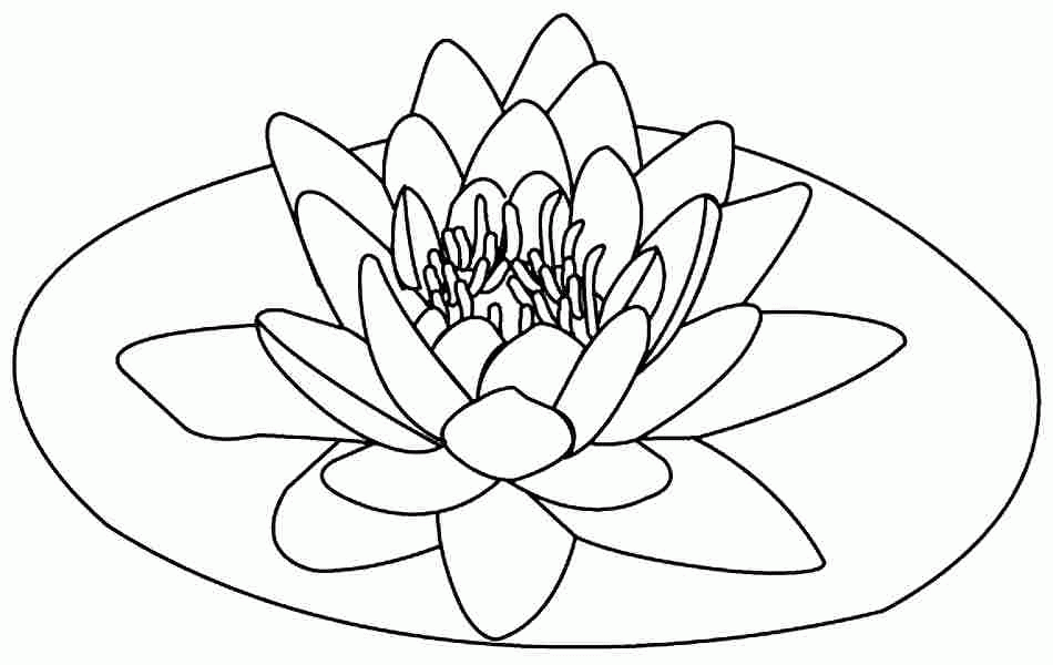 Free Printable Coloring Page Lotus Flower Pictures