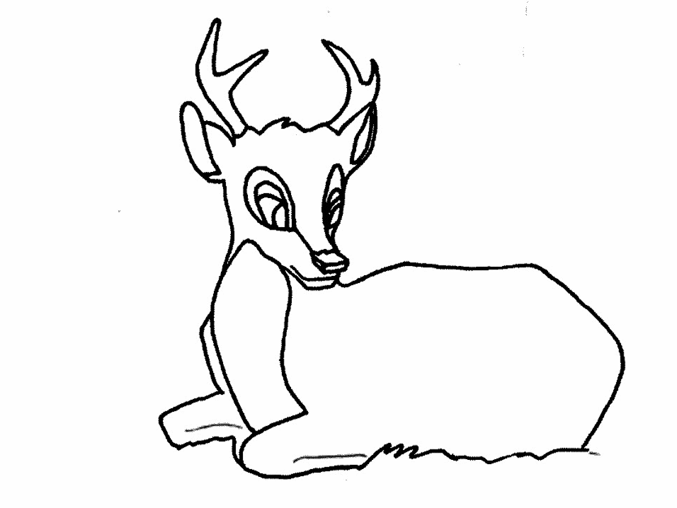 Kids Coloring Free Printable Deer Coloring Pages For Kids Free 