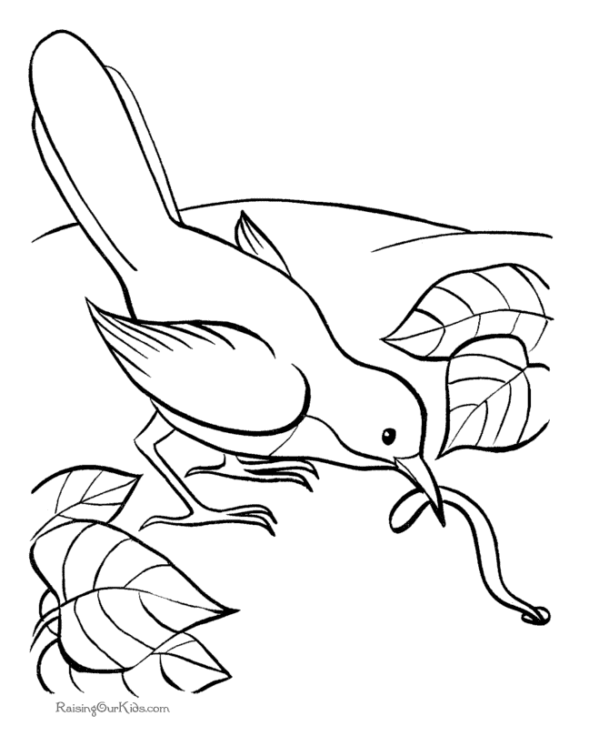 Free Coloring Pages Birds