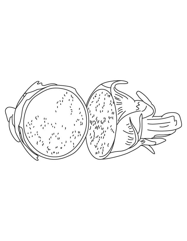 Dragon fruit coloring page | Download Free Dragon fruit coloring 