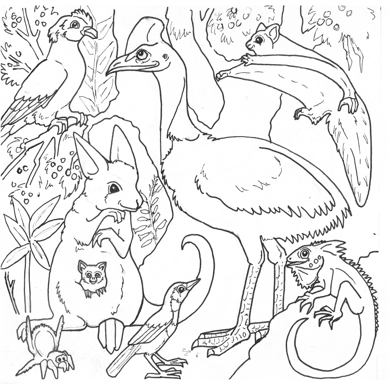Coloring Pages Of Rainforest Animals | Best Coloring Pages