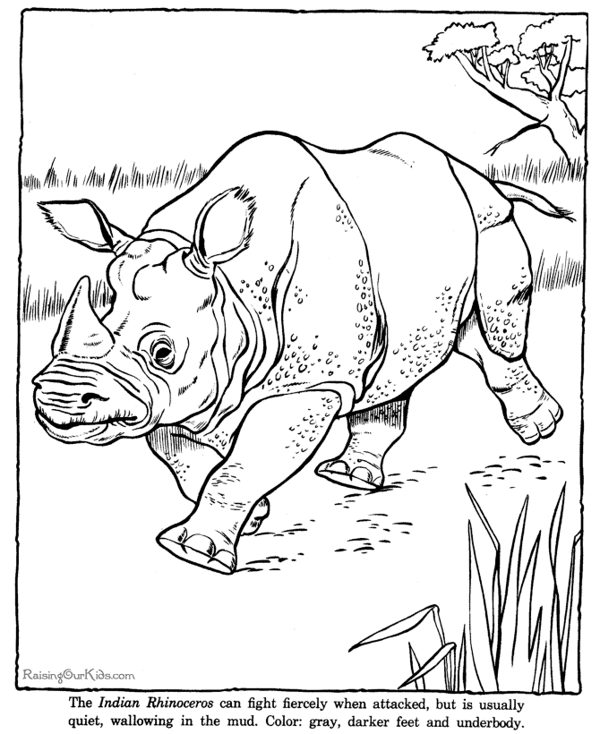 Rhinoceros rhino coloring pages - Zoo animals