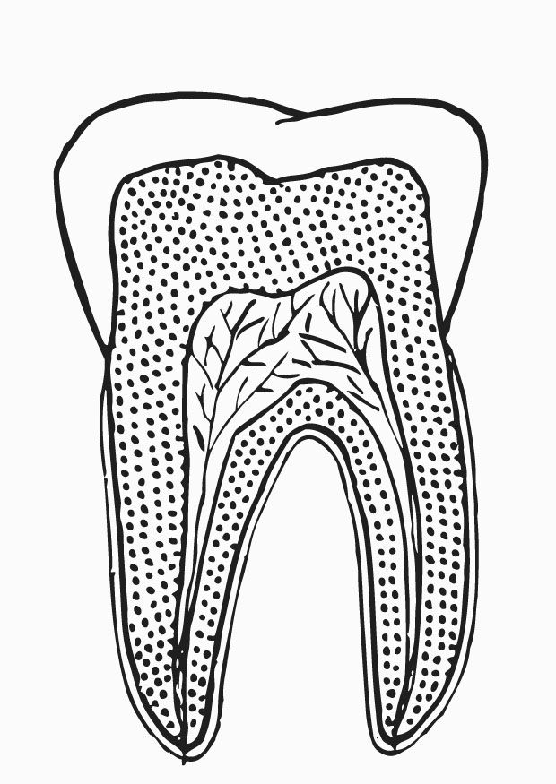Teeth-coloring-8 | Free Coloring Page Site