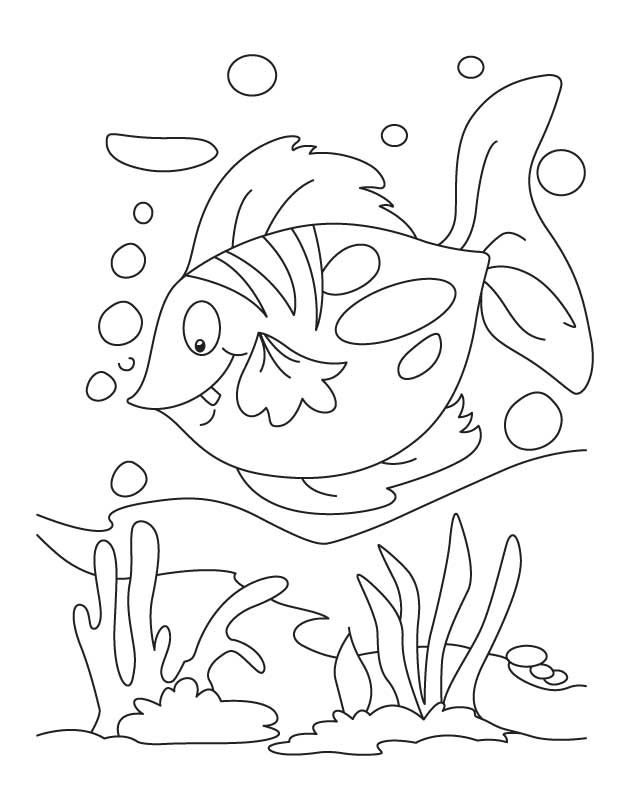 fish water Colouring Pages