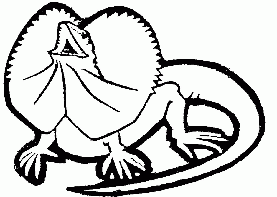 Lizard Coloring Pages : Drawings Of Lizards ClipArt Best, Coloring 