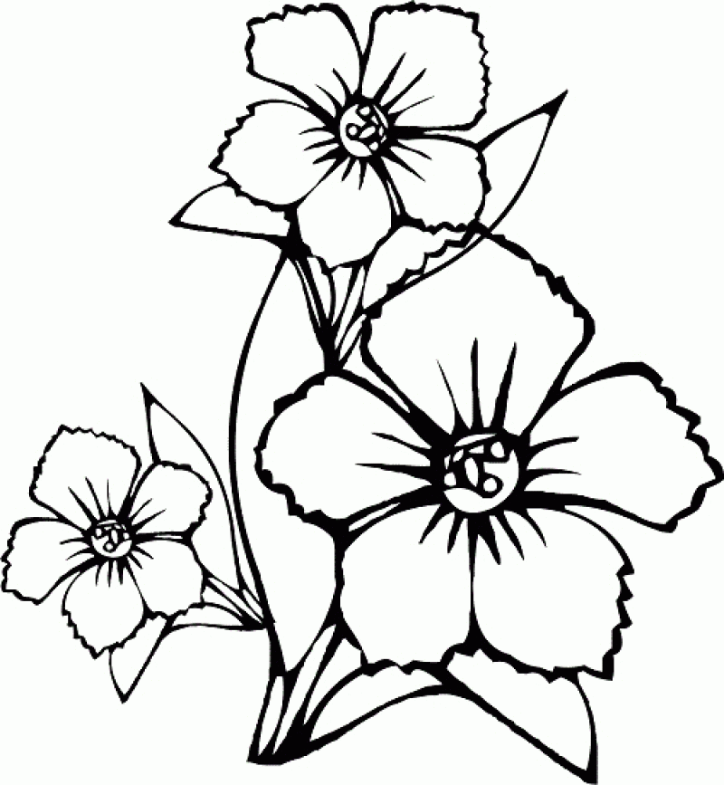For Print Flower Coloring Pages . Kids Coloring Book