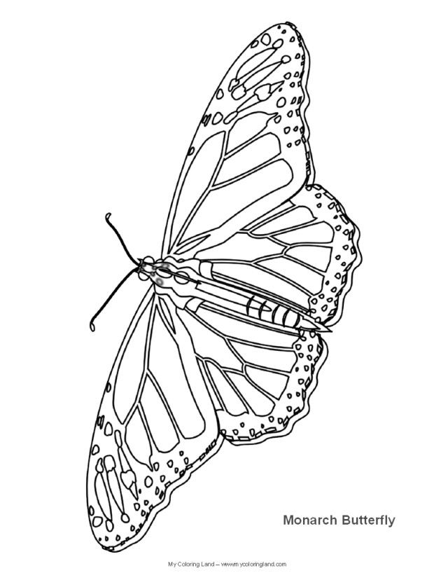 Easier Monarch Butterfly Coloring Page | Laptopezine.