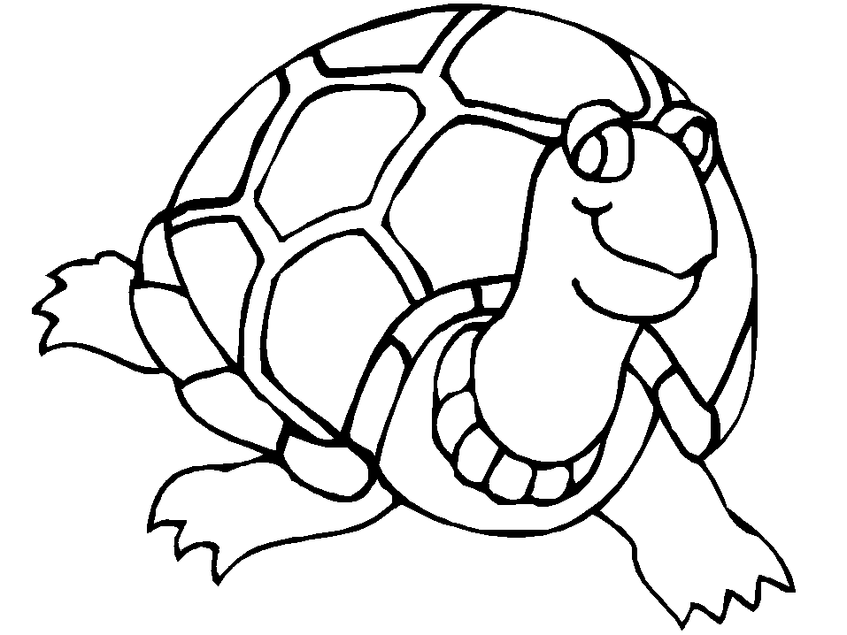 Cartoon Pictures Of Sea Turtles - Coloring Nation
