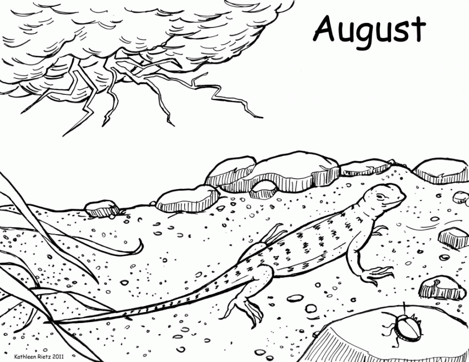 Ecosystem Coloring Pages Free Coloring Pages 257144 Ecosystem 