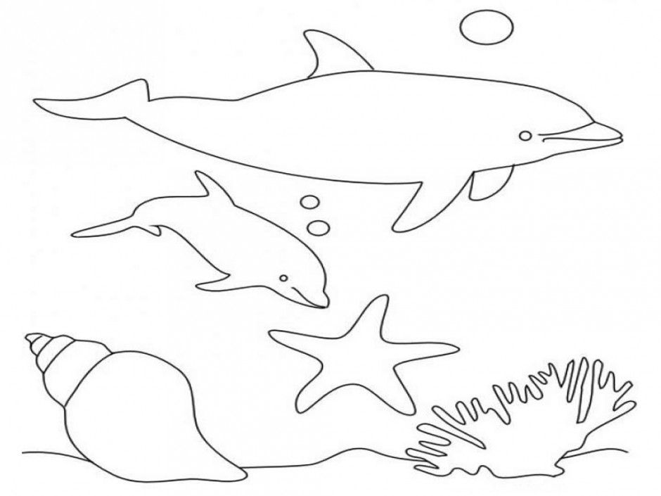 Dolphin Coloring Pages Cute Dolphin Baby Dolphin Coloring Pages 