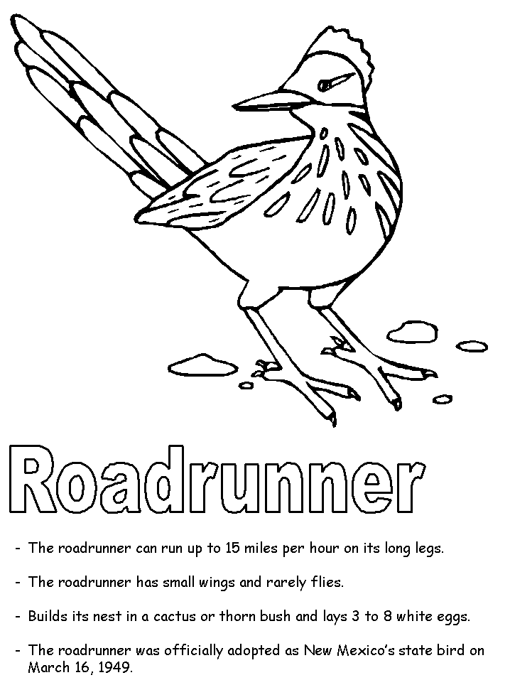 road runner coloringpage 13 road runner coloring pages | Inspire Kids