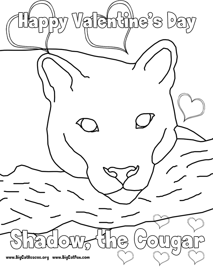 anime cougars Colouring Pages