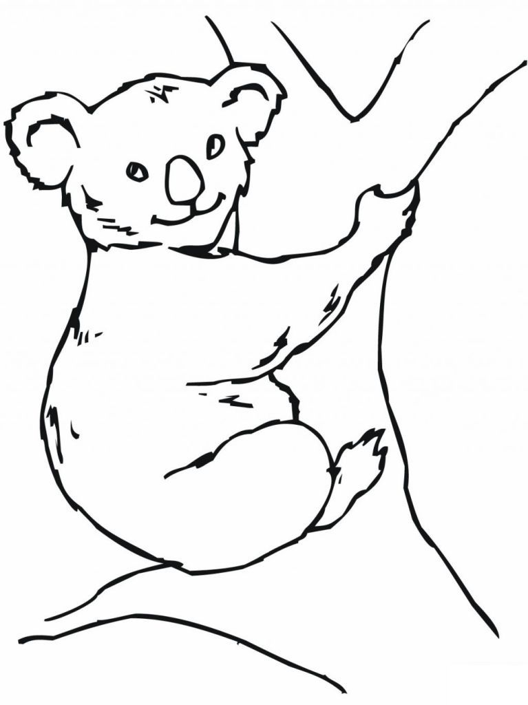 aboriginal animal list Colouring Pages (page 2)
