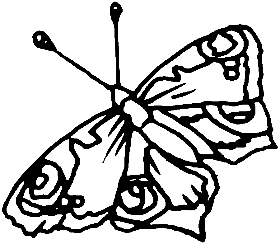 Butterfly Coloring Pages
