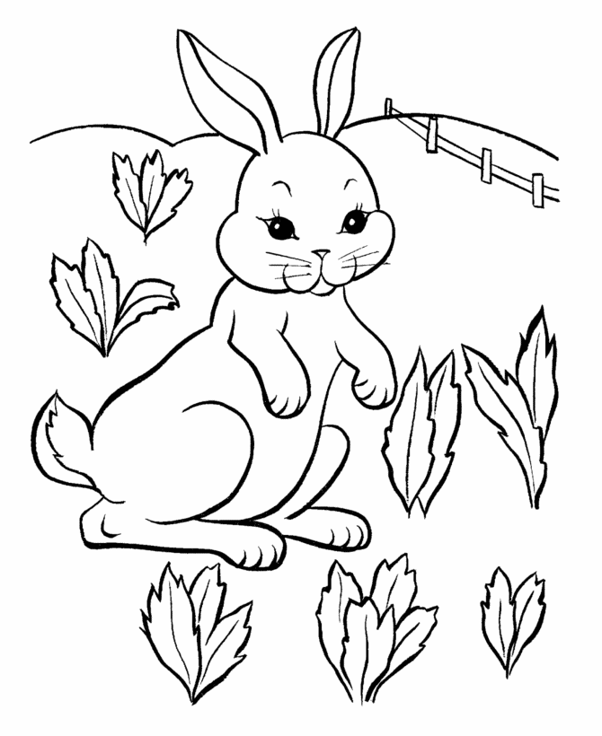 ilovufi: cute easter bunnies coloring pages