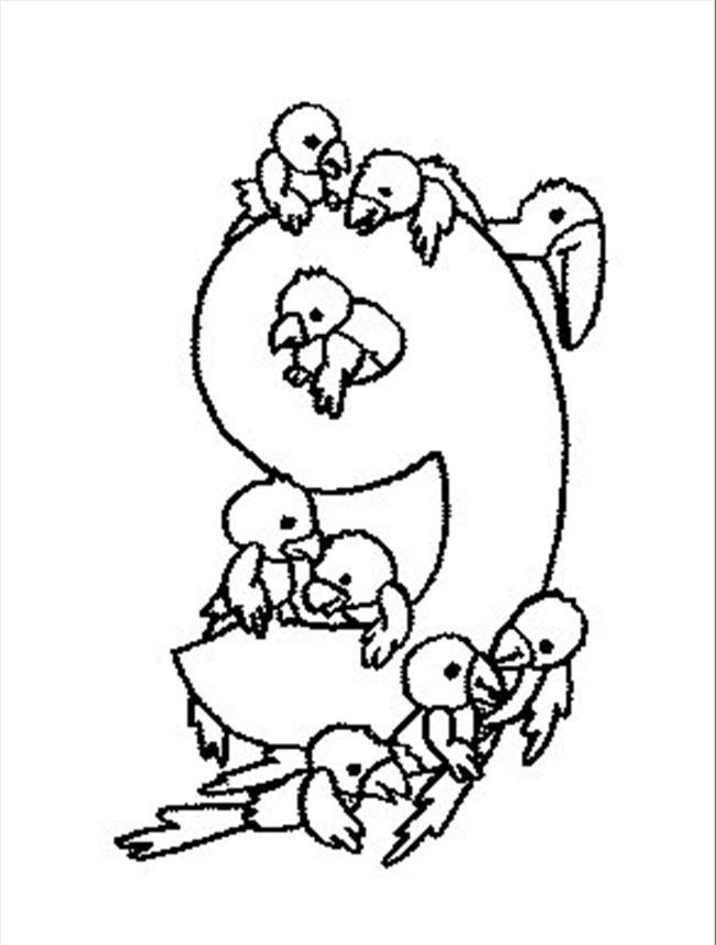 Number 9 And Birds Coloring Pages - Number Coloring Pages : iKids 