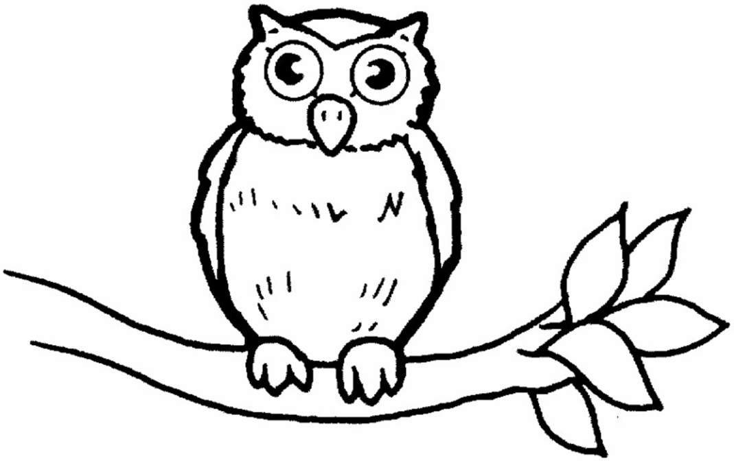 coloring page owl | Coloring Picture HD For Kids | Fransus.com1069 