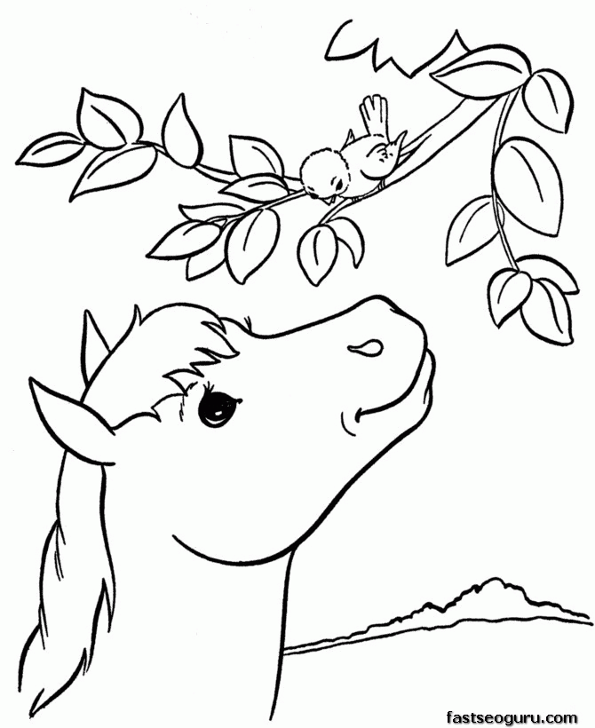 out spring flower bloodroot coloring page printable