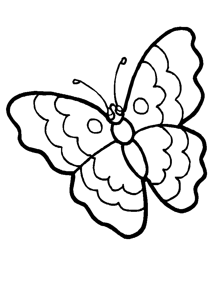 colorwithfun.com - Butterfly Print Out Coloring Pages